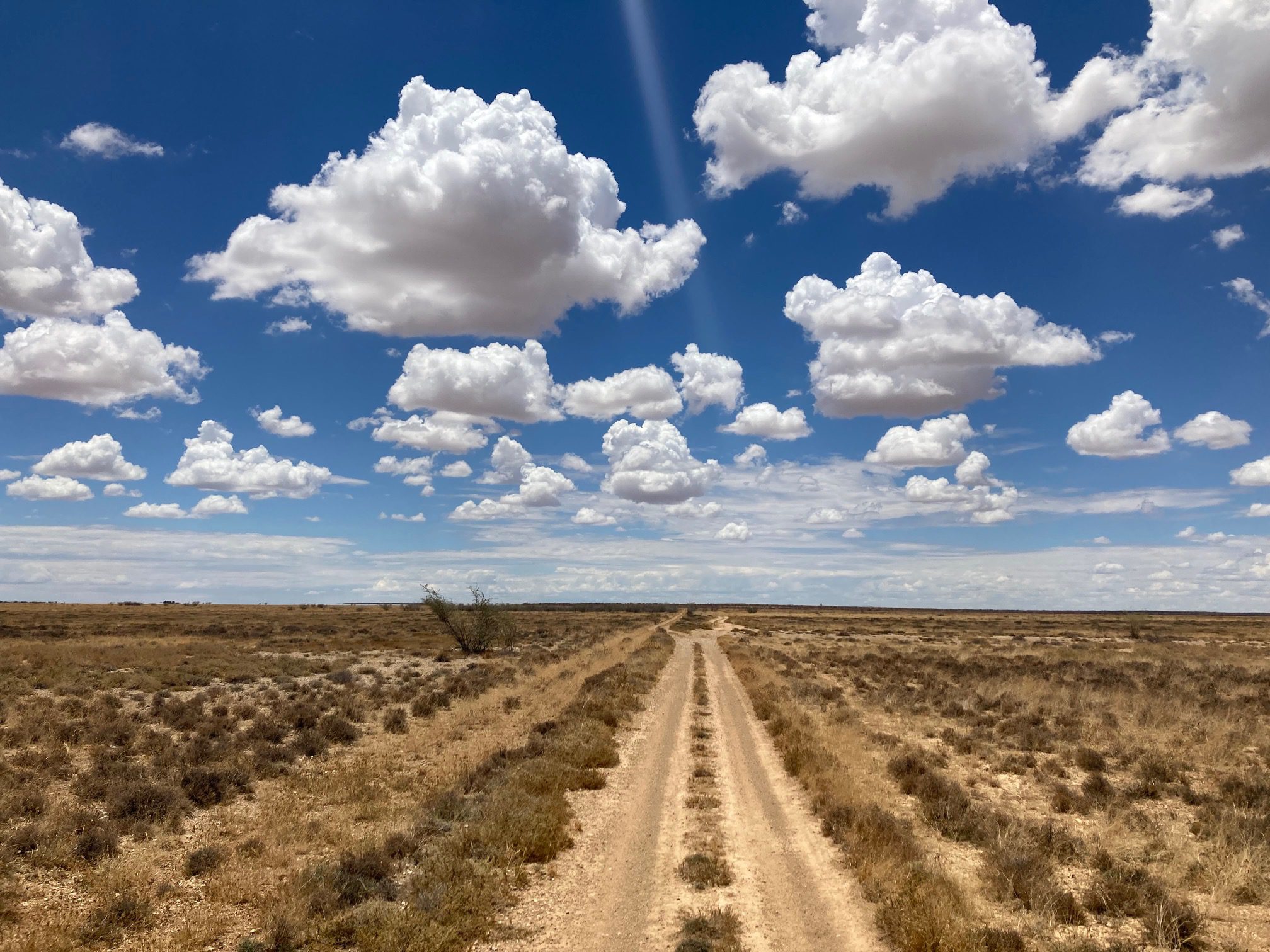 Adventures that won’t cost the earth